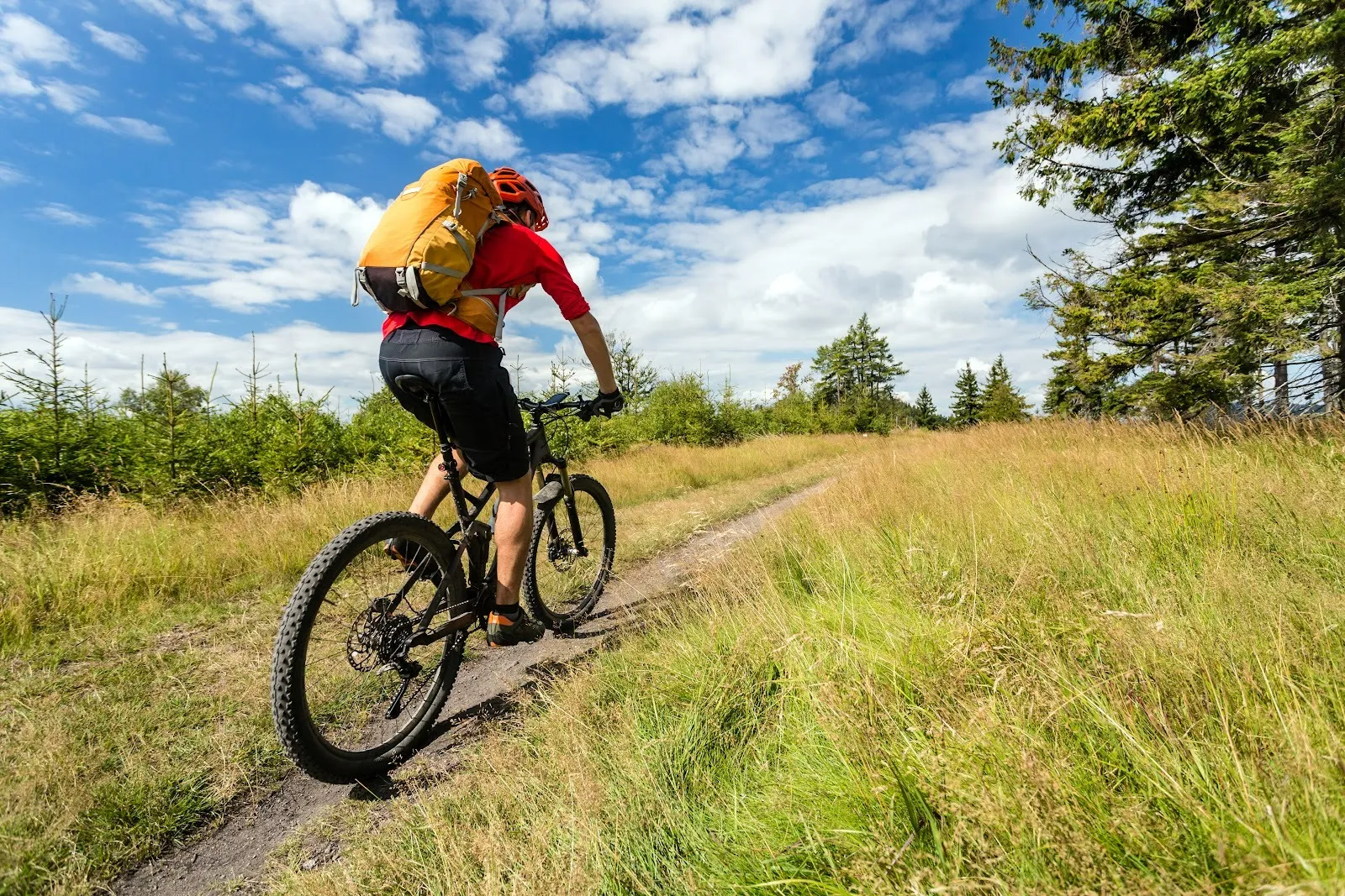 Disc Injuries in Athletes: Prevention and Recovery Strategies