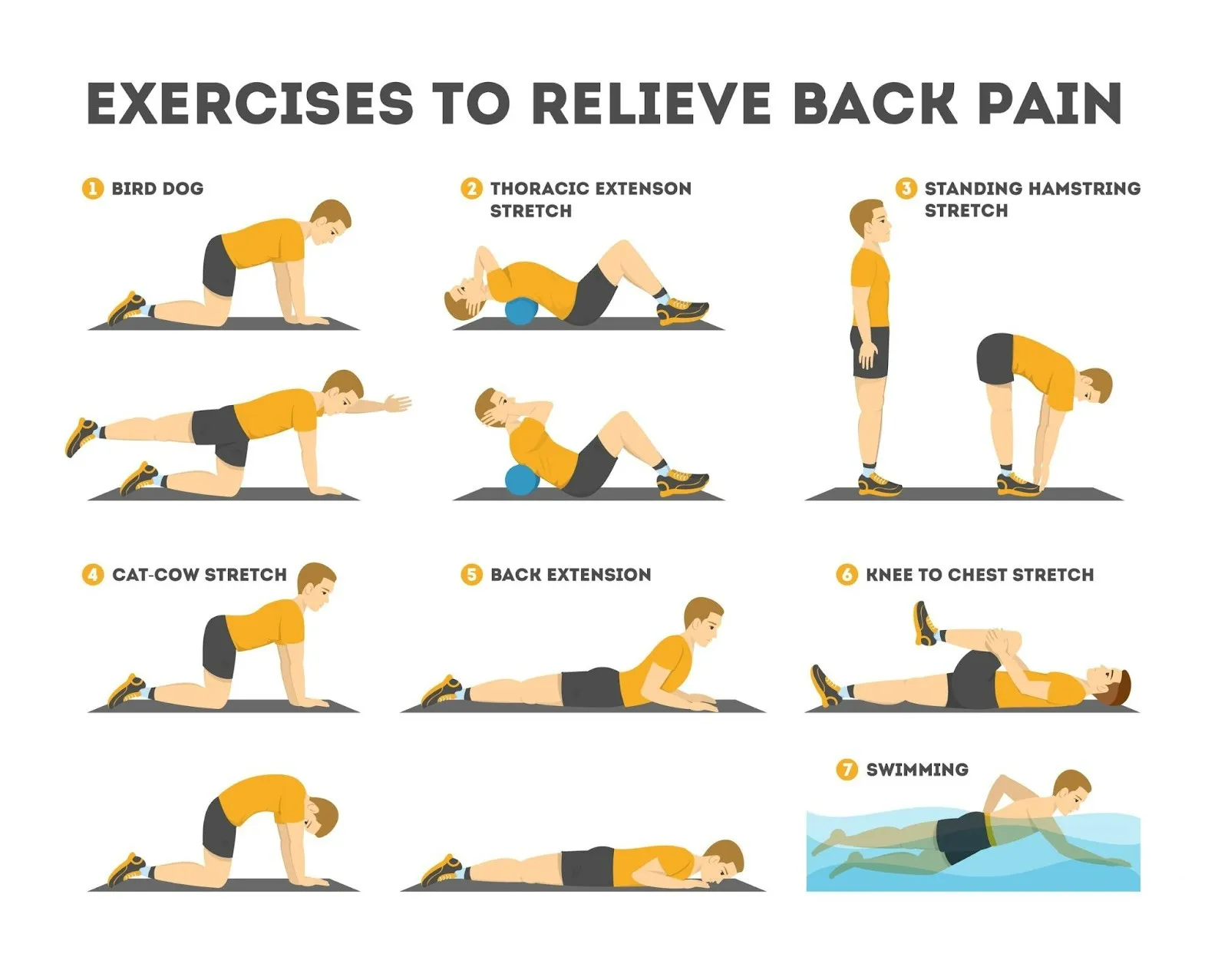 Top Causes for Back Pain and Treatment Options in Cocoa